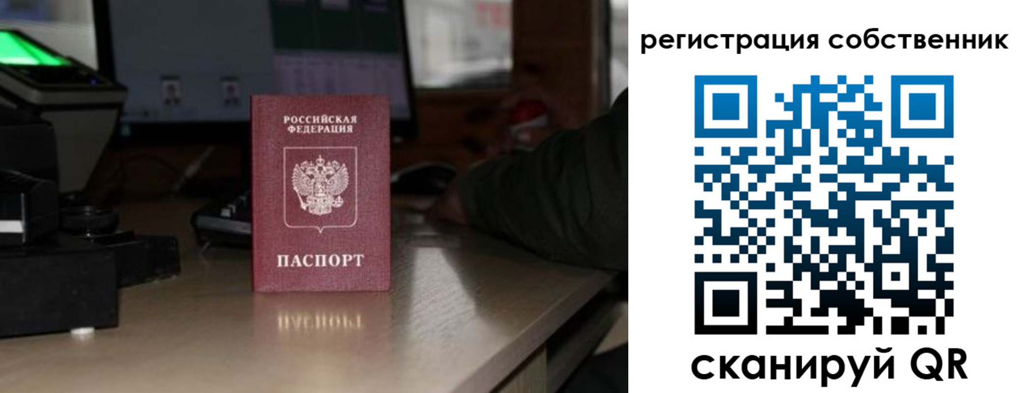 прописка поиск в Реже